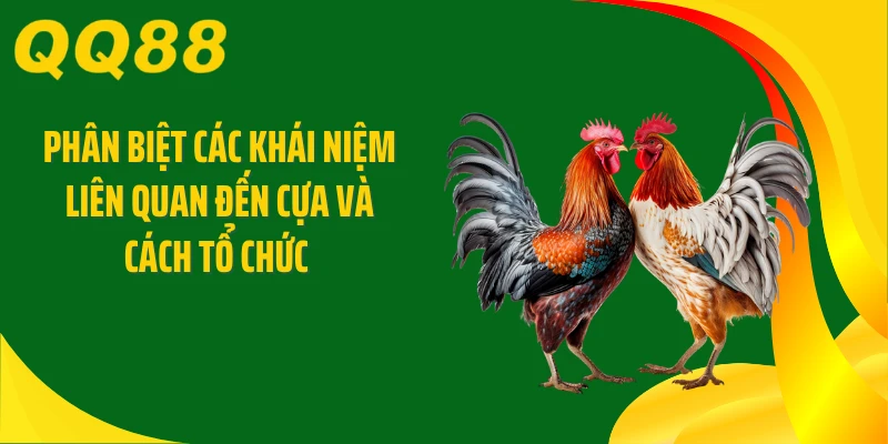 Phân biệt các khái niệm liên quan đến cựa và cách tổ chức 