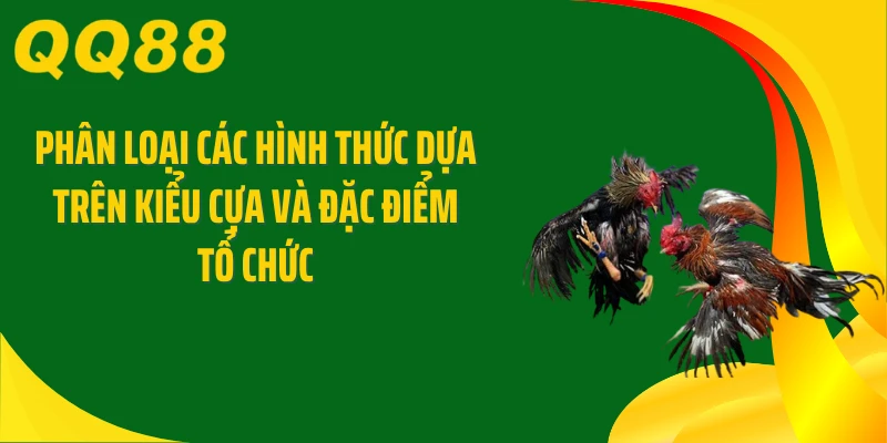 Phân loại các hình thức dựa trên kiểu cựa và đặc điểm tổ chức 